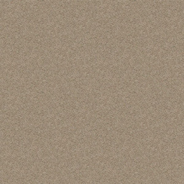 TrafficMaster Alpine - Peace - Beige 17.3 oz. Polyester Texture Installed Carpet