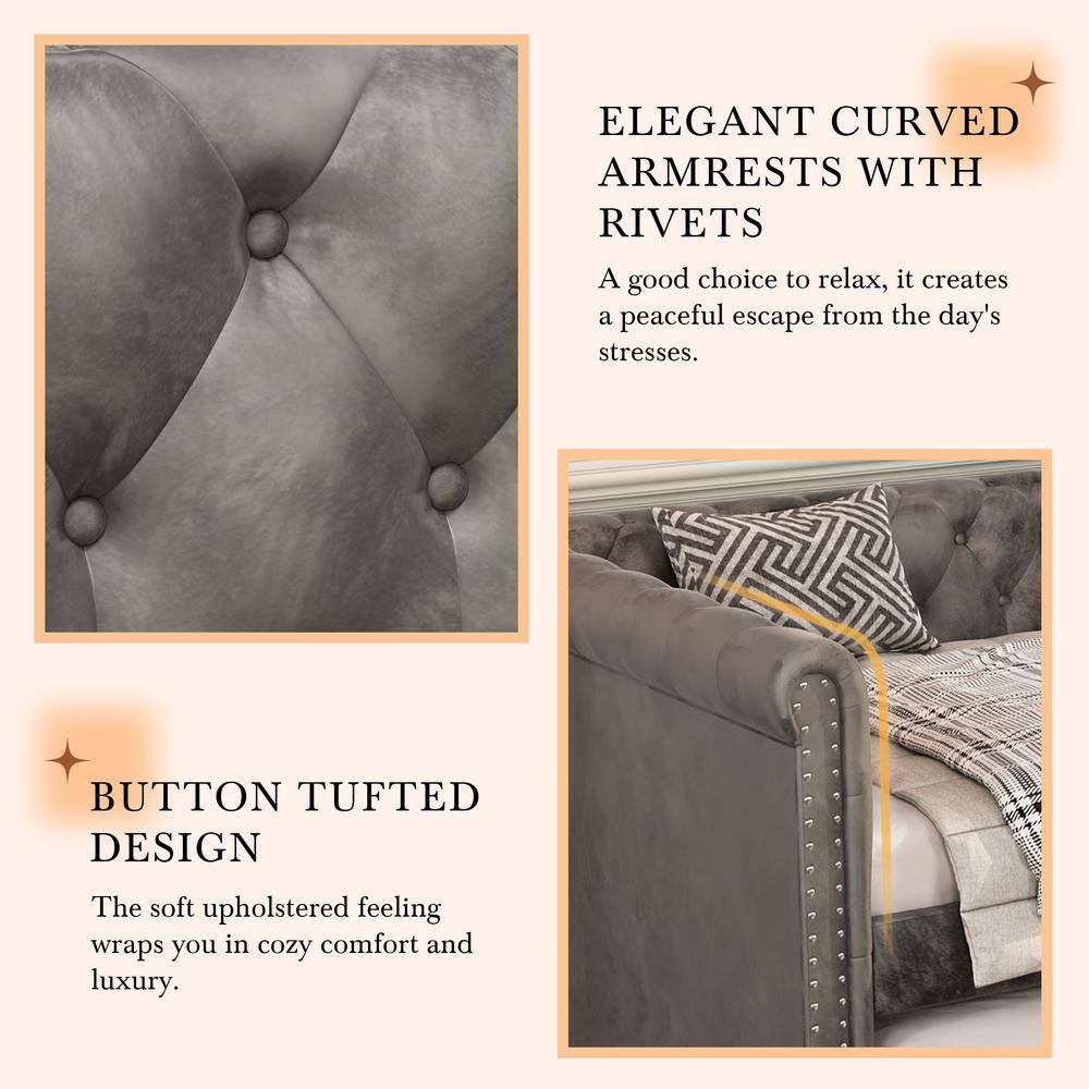 Gray Velvet Upholstered Twin Daybed with Trundle and Nailhead Trim