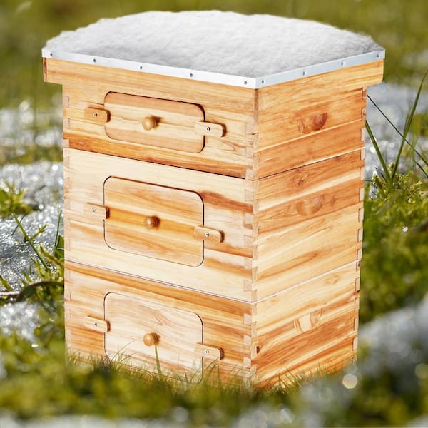 30-Frame Bee Hive Starter Kit, Beeswax-Coated Fir Wood, 2-Deepplus 1-Medium Boxes, Langstroth Design w/ Acrylic Windows