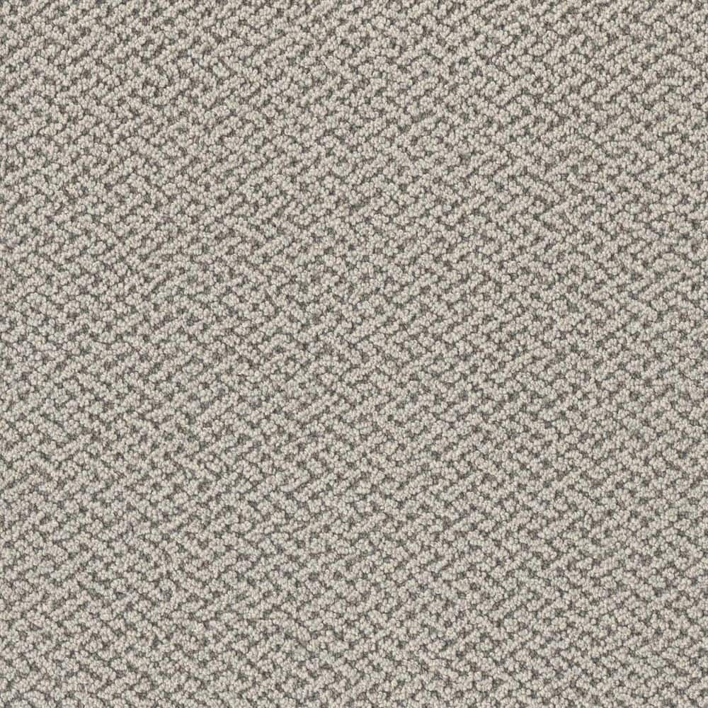 8 in. x 8 in. Loop Carpet Sample - Ballad Bliss - Color Ensemble price history on PriceWatchPro