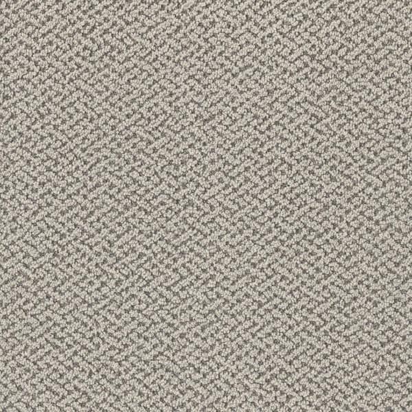 8 in. x 8 in. Loop Carpet Sample - Ballad Bliss - Color Ensemble
