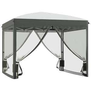 10 ft. x 10 ft. Gray Foldable Pop-Up Canopy