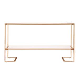 Metz 52 in. Gold Rectangle Mirrored Console Table with Storage