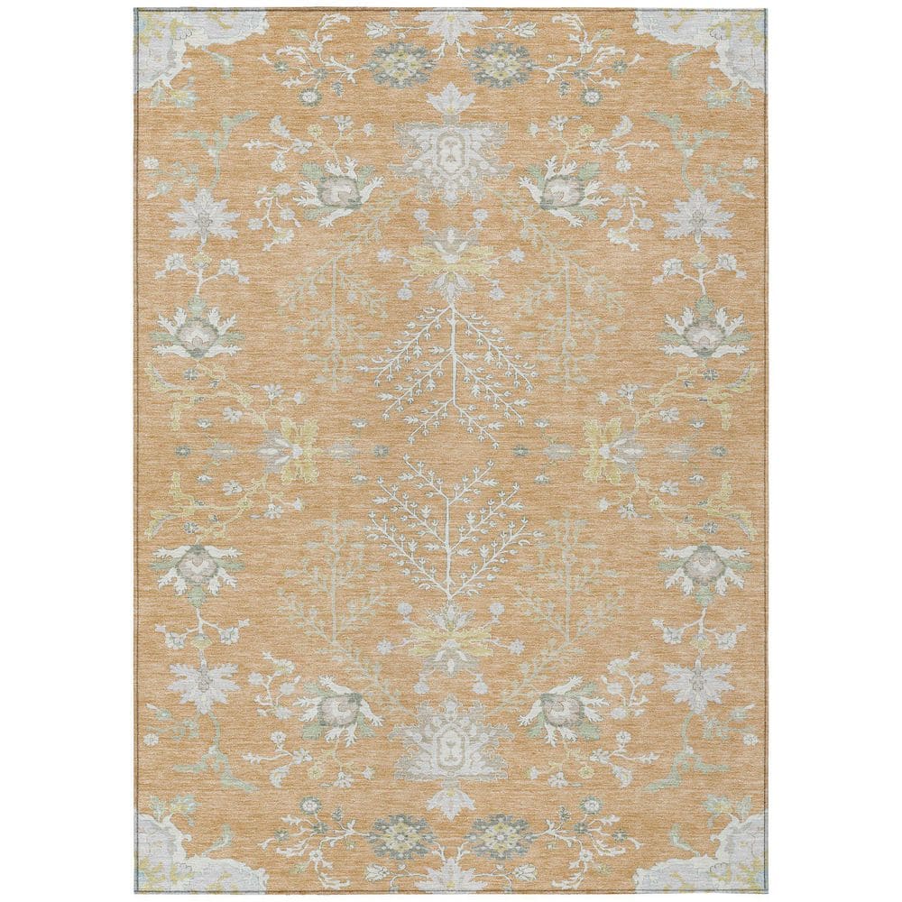 Chantille Machine Washable Indoor/Outdoor Abstract ACN2676 Peach 5 ft. x 7 ft. 6 in. Area Rug price history on PriceWatchPro