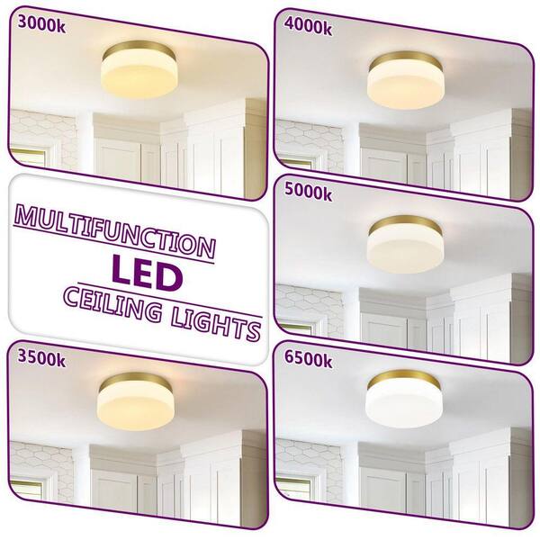 GMGSROM 11.4 in. LED Gold Flush Mount With Milky White Glass Shade