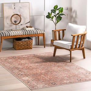 Evalina Traditional Cotton Machine Washable Brown 3 ft. x 5 ft. Area Rug