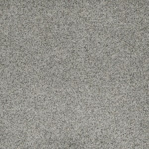 Bradmore II - Breezy - Gray 60 oz. SD Polyester Texture Installed Carpet