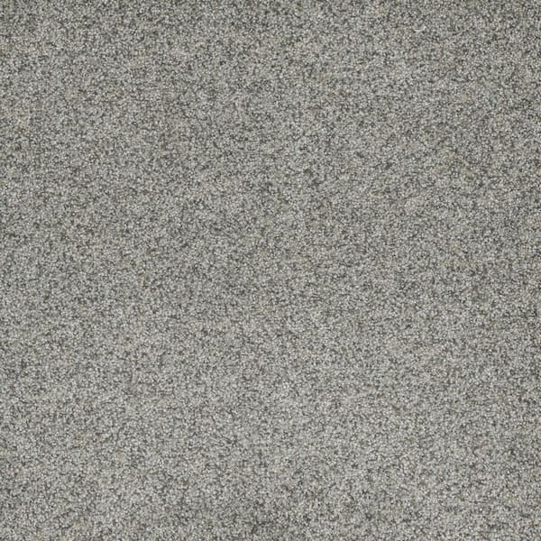Home Decorators Collection Bradmore II - Breezy - Gray 60 oz. SD Polyester Texture Installed Carpet