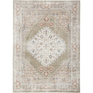Astra Machine Washable Sage Multi 5 ft. x 7 ft. Distressed Traditional Area Rug