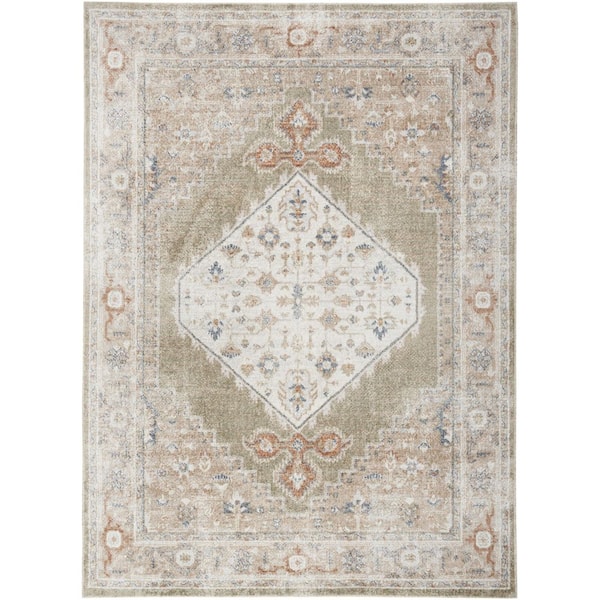 Nourison Astra Machine Washable Sage Multi 5 ft. x 7 ft. Distressed Traditional Area Rug