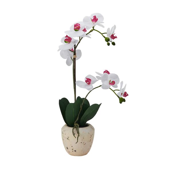 Mikasa Real Touch 22 in. Artificial White/Pink Phalaenopsis Orchid in Cement Pot