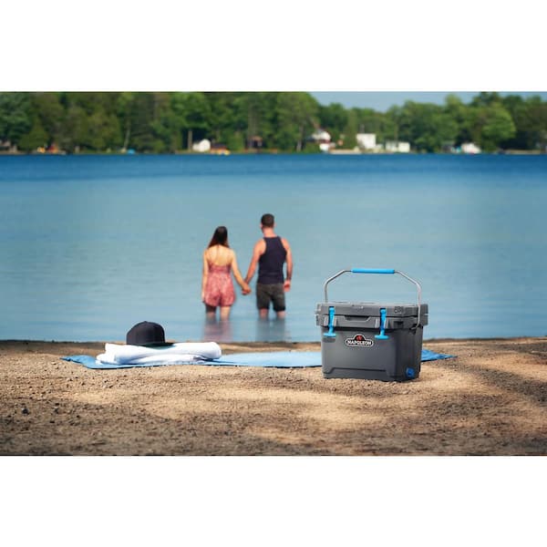 NAPOLEON 15 L Cooler Box with Bottle Opener 55220 - The Home Depot