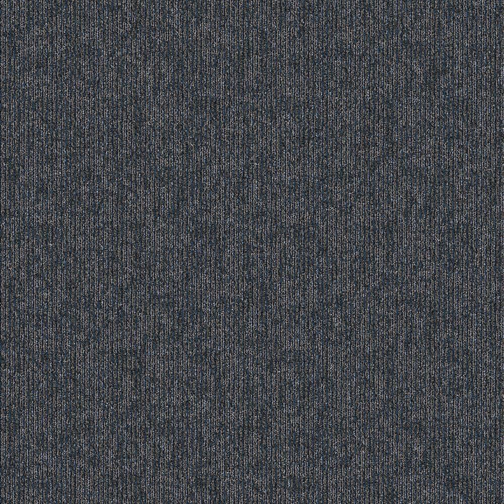 6 in. x 6 in. Textured Carpet Sample -Crescent Creek -Color Online News price history on PriceWatchPro