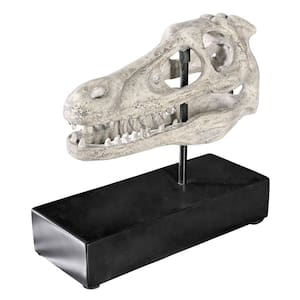 10.5 in. H Velociraptor Dinosaur Skull Fossil Statue on Museum Mount