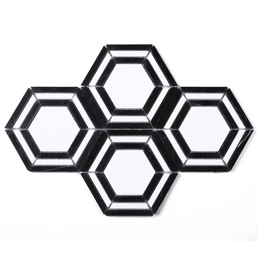 Interspace White and Black 10.63 in. x 12.01 in. Hexagon Polished Marble Mosaic Tile (8.9 sq. ft./Case) price history on PriceWatchPro