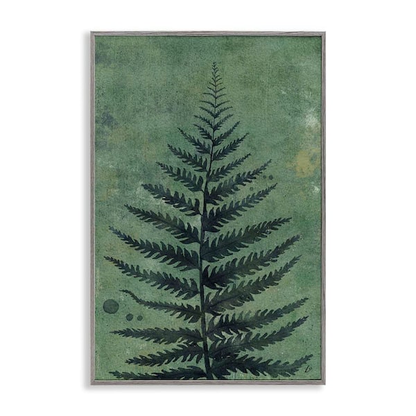 Stupell Industries Rustic Fern Impression by Lydia Orange Gray Framed Nature Giclee Art Print 18 in. x 12 in.