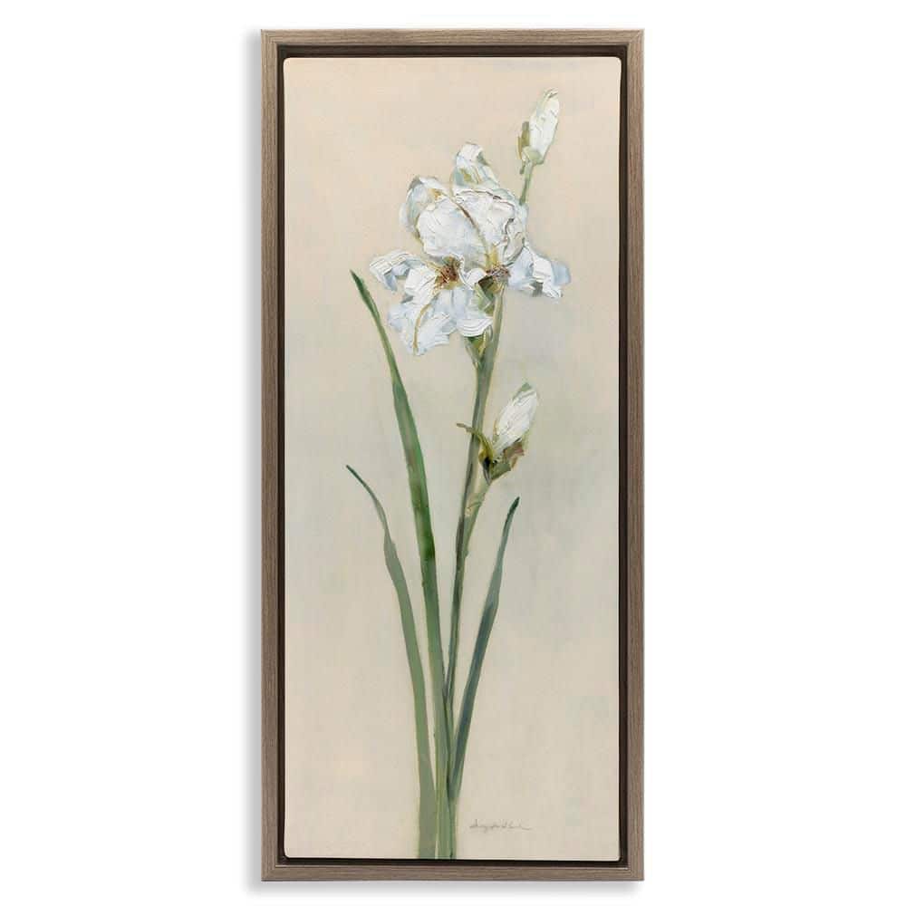 Simple Iris on Beige by Sally Swatland Brown Floater Frame Nature Graphic Art Print 31 in. x 15 in. price history on PriceWatchPro