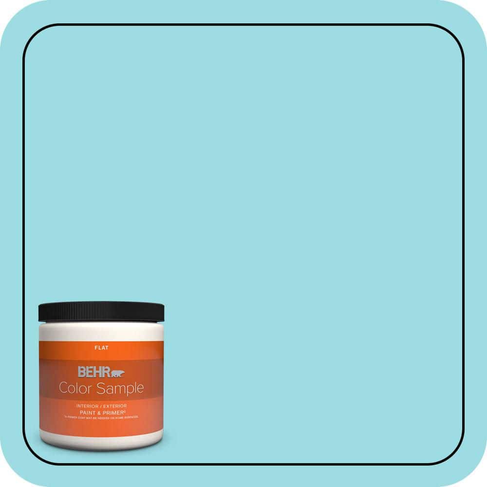 8 oz. #P470-2 Serene Thought Flat Interior/Exterior Paint & Primer Color Sample price history on PriceWatchPro