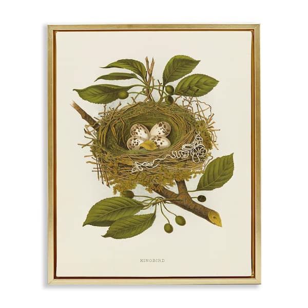 Stupell Industries Birdnest with Spotted Eggs by Tina Higgins Designs, Inc. Gold Floater Frame Nature Graphic Art Print 21 in. x 17 in.