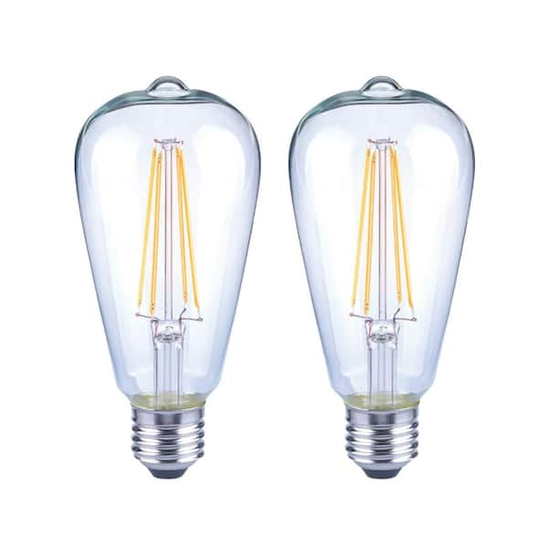 EcoSmart 40-Watt Equivalent ST19 Dimmable Clear Glass Filament Vintage Edison LED Light Bulb Soft White (2-Pack)