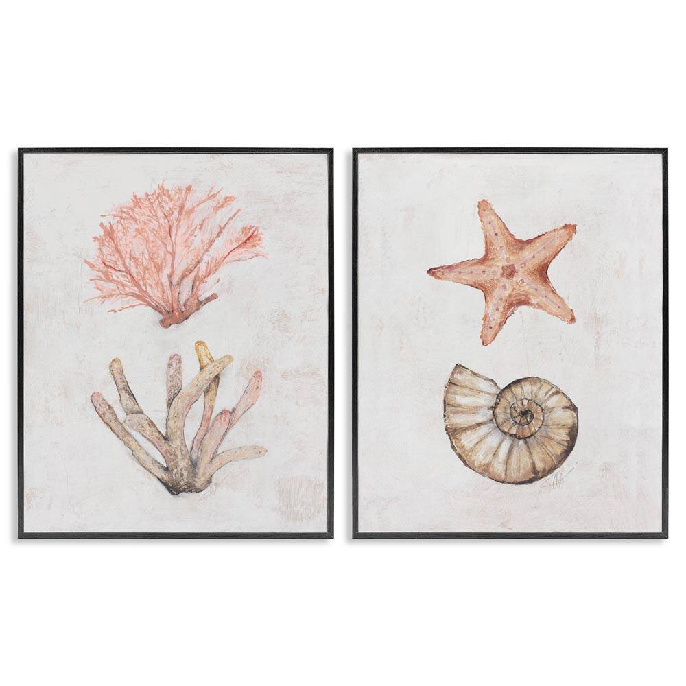 Neutral Pastel Sea Life by Filippo Ioco 2 Pieces Black Framed Coastal Giclee Art Print 30 in. x 24 in. price history on PriceWatchPro