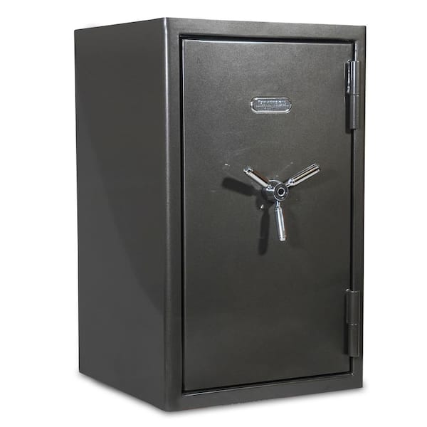 SANCTUARY Platinum 4.98 cu. ft. Fireproof/Waterproof Home and Office Safe w/ Biometric Lock, Dark Gray Metallic Finish