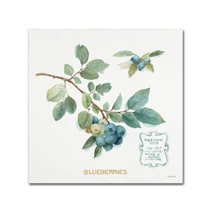 14 in. x 14 in. "My Greenhouse Fruit II" by Lisa Audit Printed Canvas Wall Art