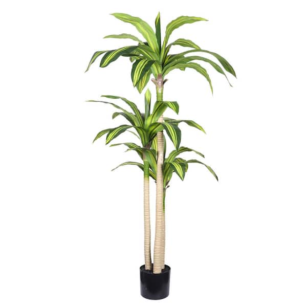 Unbranded 5 ft. Artificial Fresh-looking Dracaena Tree in Black Plastic  Pot,Detachable and compressible,1-Piece/set for Home Decor SW-W3912P437626
