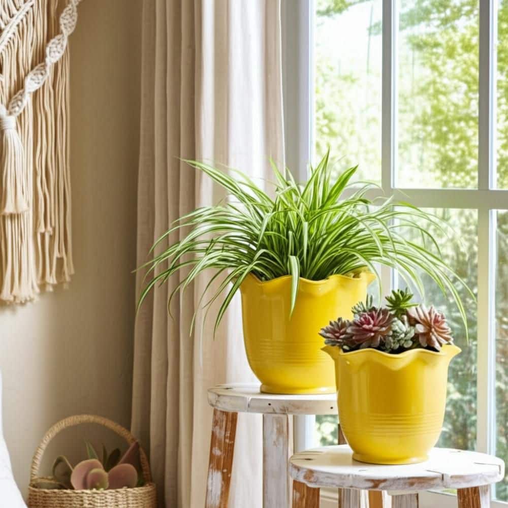 6 in. and 8 in. Yellow Ceramic Round Fluted Decorative Pots (Set of 2)