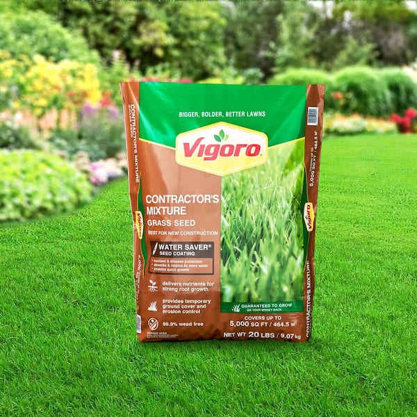 GRASS.S Reviews for Vigoro 20 lbs. Contractor's Grass Seed Northern