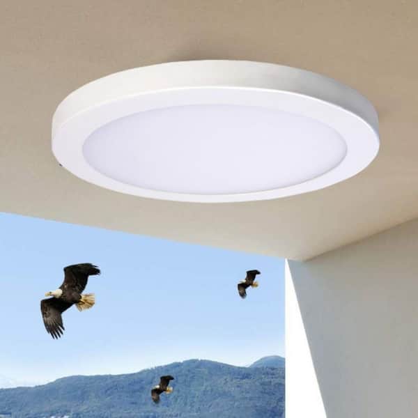 AMAX LIGHTING 5CCT-SM11DL-WT 11 in. 1-Light White Platter