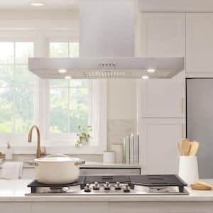 Lora 36 in. 350CFM Convertible Kitchen Island T-Shape Range Hood in Stainless Steel w/ Charcoal Filters and LED Lighting