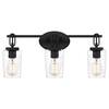 ASHLEY HARBOUR COLLECTION Sura 3-Light Earth Black Vanity Light DS19233 ...