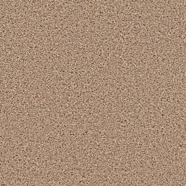 Home Decorators Collection Carpet Sample - Soundscape I - Color Amelia Texture 8 in. x 8 in.