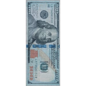 Money Dollar Front Novelty Printed Green Blue 3 ft. x 7 ft. 3 in. Runner Area Rug