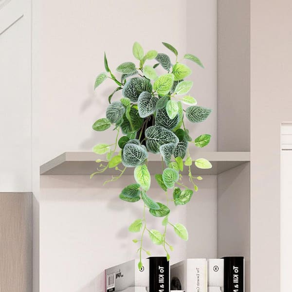Unbranded 24 in. Artificial Fittonia Ivy Leaf Vine Hanging Plant Greenery Foliage Bush