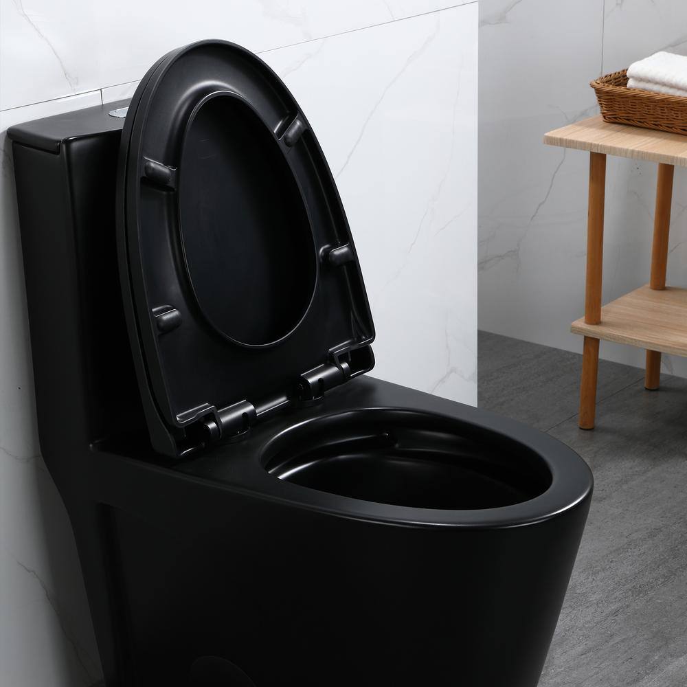 Matte Black Ceramic Elongated One-Piece Dual Flush Toilet