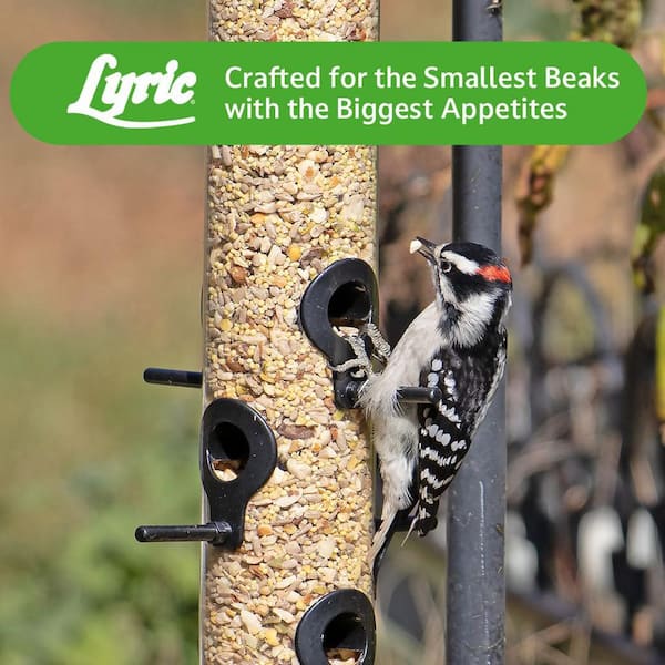 Lyric 15 lbs. Fine Tunes No Waste Bird Seed Mix 2647412 - The Home