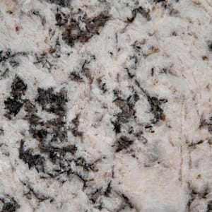 3 in. x 3 in. Granite Countertop Sample in White Pebble