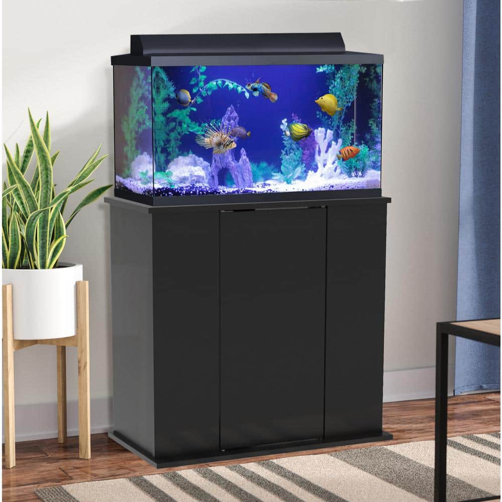 Aquarium Fundamentals Black 28.25 in. Accent Cabinet with 2 Shelves with Sw