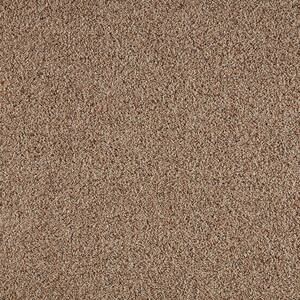 Collinger II - Color Ashen Indoor Texture Beige Carpet