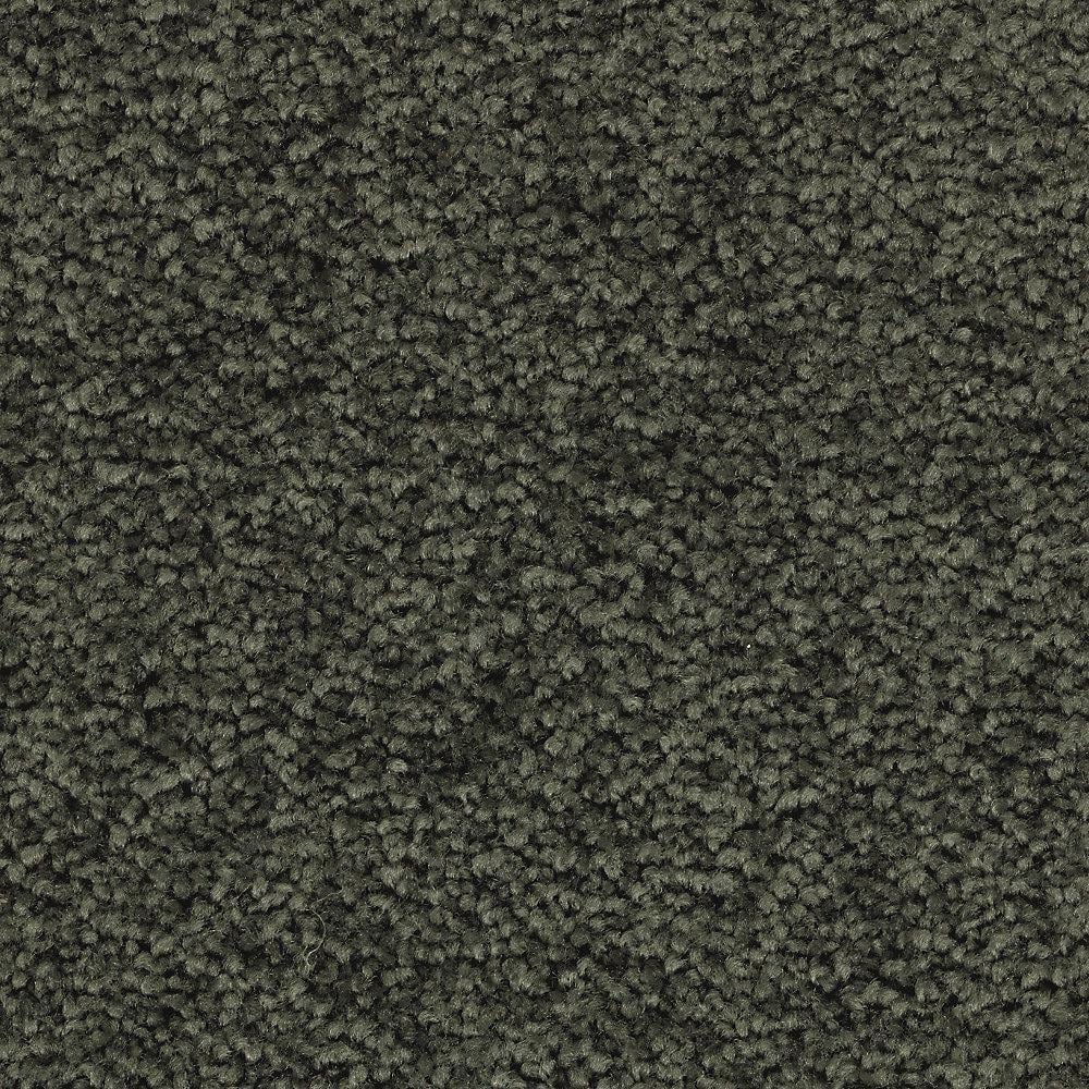8 in. x 8 in. Texture Carpet Sample - Unblemished I -Color Willow price history on PriceWatchPro