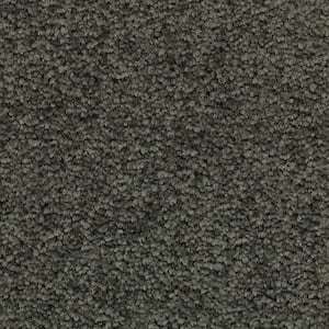 Unblemished I  - Willow - Green 45 oz. Triexta Texture Installed Carpet
