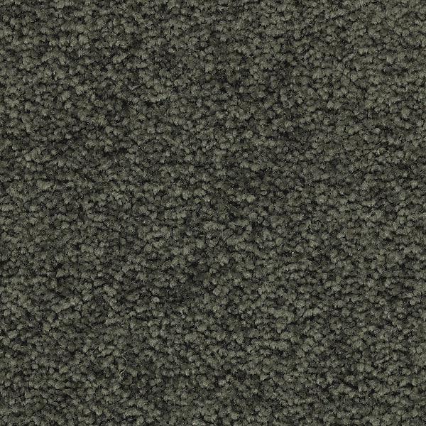 Lifeproof Unblemished I  - Willow - Green 45 oz. Triexta Texture Installed Carpet