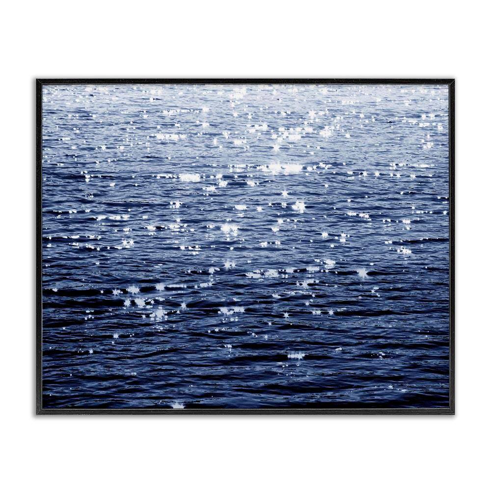 Sun Reflecting on Sea by Maggie Olsen Black Framed Nature Giclee Art Print 16 in. x 20 in. price history on PriceWatchPro