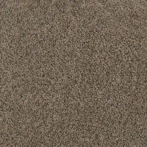 Affectionate I - Genuine - Brown 40 oz. SD Polyester Texture Installed Carpet