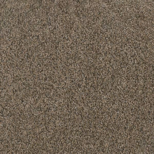 Home Decorators Collection Affectionate I - Genuine - Brown 40 oz. SD Polyester Texture Installed Carpet