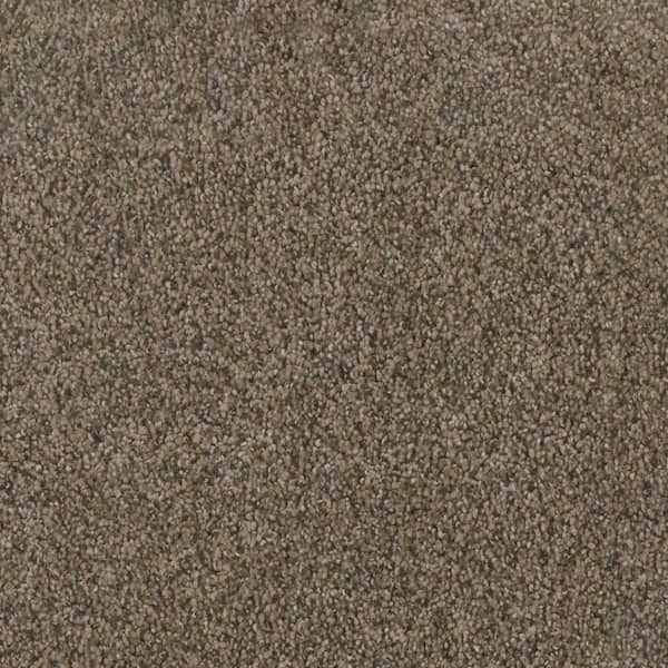 Affectionate I - Genuine - Brown 40 oz. SD Polyester Texture Installed Carpet