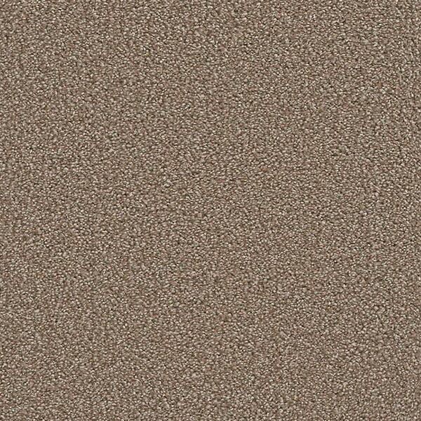 Lifeproof Carpet Sample - Harvest II - Color Yancey Texture 8 in. x 8 in.