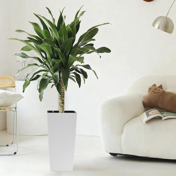 KOTSICO Large White Plastic Square Planter with Drainage Holes